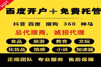 SEM推广竞价托管成功案例解析